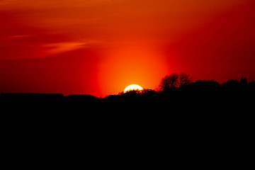 the sun sets behind the forest, orange dusk on Baltic sea coast