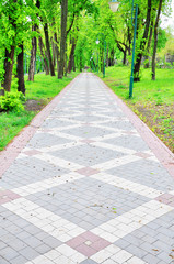 the alley in the park is paved with beautiful stone blocks