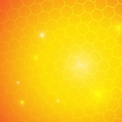 Vector : Honey comb on yellow orange background