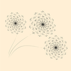 Summer floral background of stylized dandelions. For the design of postcards, brochures, flyers.
