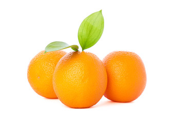 Ripe oranges with leaves isolated on white background. Citrus food