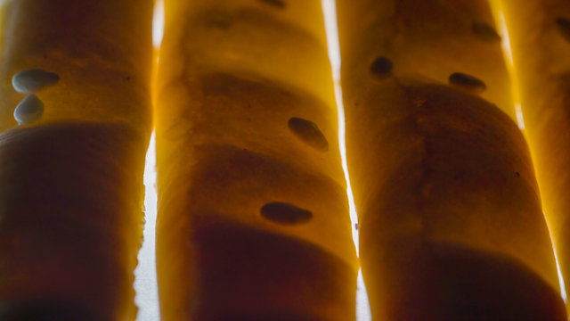 22690_The_stick_breads_on_the_table_on_a_macro_shot53.jpg