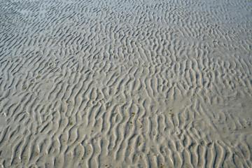 texture of sand and sea