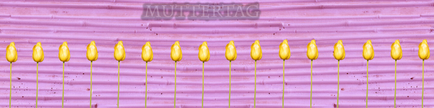 Rosa Hintergrund mit Blumen