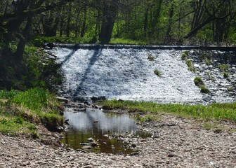 Wehr im Wald 