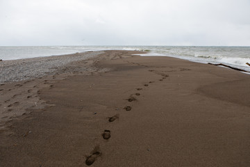 Nature Outdoors Point Pelee National Park Tip Footprints Sand