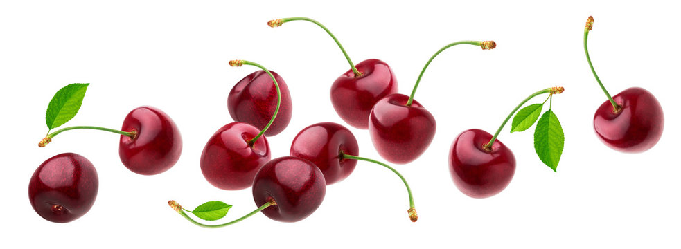 Cherry isolated on white background with clipping path, fresh cherries with stems and leaves