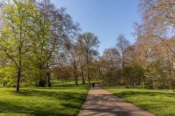 Fototapeta na wymiar Hyde Park in London, England