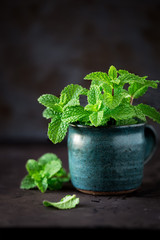 Fresh sprigs of mint in a rustic ceramic cup against dark background