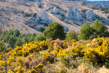Spring in mountain landscape in Spain with rocks and green trees.