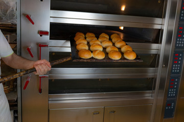 Frische Brötchen aus dem Bäckers Ofen
