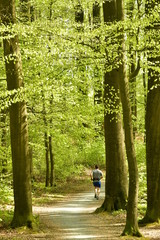 Jogger sur l'un des chemins secondaire au milieu de la végétation luxuriante du bois des Capucins à Tervuren