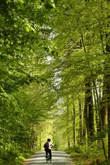 Cycliste sous le feuillage luxuriant des arbres au printemps au bois des Capucins à Tervuren