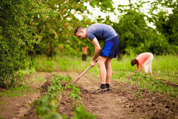 Man and woman, digging and shoveling in garden spring time