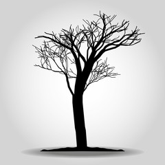 Tree icon. Forest symbol. Flat web sign on white background. Vector eps 10