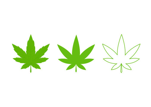 Cannabis marijuana weed green leaf. Medical, ganja cannabis. Vector illustration Isolated on white background