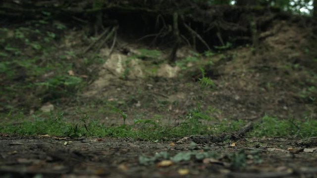 Running soldier boots. Squad of Five Fully Equipped Soldiers in Camouflage on a Reconnaissance Military Mission. They're Running in Through Dense Forest. Close-Up. Slow Motion. 4K.