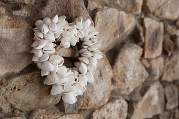 A heart decoration made from shells hanging on a stone wall