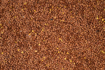 Lentils as a background. Top view.