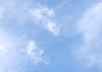 Clouds in the blue sky. Blossom, floor.