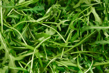 Fresh leaves of arugula as background.