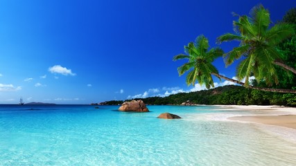 plage tropical
