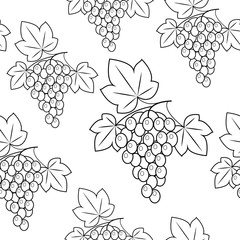 Bunch of grapes on a green background. Beautiful pattern. Gift wrap. Vector illustration