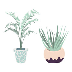Vector houseplants illustration. Set of two vector flowers. Potted flowers in pastel colors. Vector palm, aloe