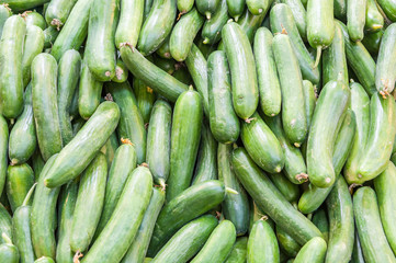 Cucumbers sold at shuk hacarmel market, Tel Aviv, Israel