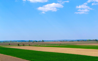 Fields next to Danube. Agroculture field