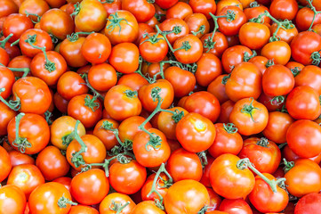 Tomatoes sold at shuk hacarmel market, Tel Aviv, Israel