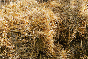 Hay is piled on the ground and dried