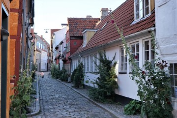 A peaceful empty street with small colorful houses and flowers. Helsingor, Denmark. 