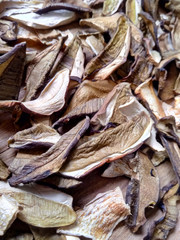 Dried mushrooms for food preparation and cooking, kitchen spices.