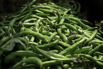Fava Beans