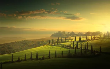 Afwasbaar Fotobehang Toscane zomer landbouwgrond en landweg  toscaanse platteland glooiende heuvels