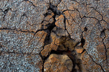 heat insulation from painted foam on metal pipe