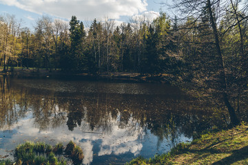 park in the suburbs of St. Petersburg in the spring