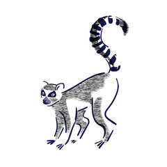Obraz premium Silhouette of lemur catta on a white background.Wildlife,enviroment protection. Vector illustration, hand drawn.