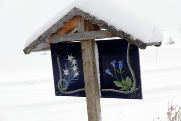 Gentiane et édelweiss peints.