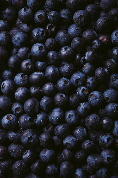Fresh blueberries