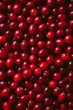 Close up of fresh cranberries
