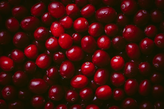 Close up of fresh cranberries