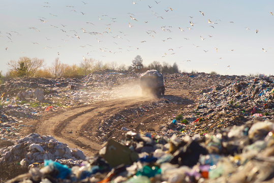Mountains of garbage on the landfill.