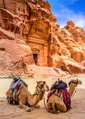 Sandstone temple and camels in Little Petra, ancient city of Petra, Jordan