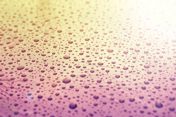 drops of water-repellent surface, after the rain