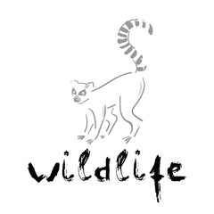 Silhouette of lemur catta  and grunge lettering on a white background.Wildlife,enviroment protection. Vector illustration, hand drawn.