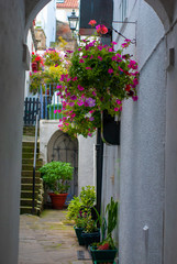 A small alley in Whitby, england, showing the old building styles and flowers.