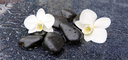 Obraz na płótnie Canvas Two orchid flowers and stones. Spa background.