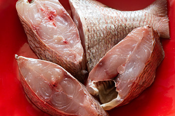 Urta, pescado fresco en rodajas.
